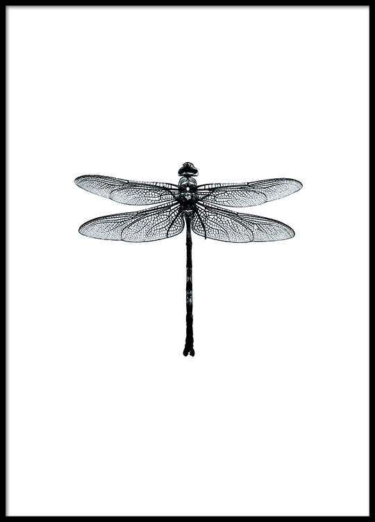 Wonderbaar Black and white Wall art | Dragonfly poster – desenio.com YE-89