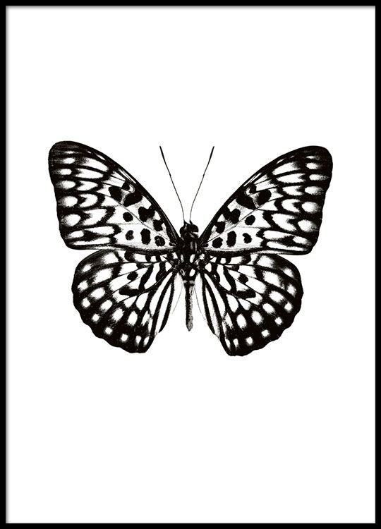 Nieuw Poster with a black and white butterfly, poster online – desenio.com NX-85