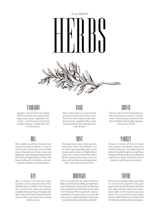 Herbs Type, Poster / Kitchen at Desenio AB (7849)