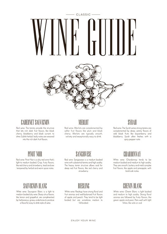 Wine Guide, Poster / Kitchen at Desenio AB (8228)