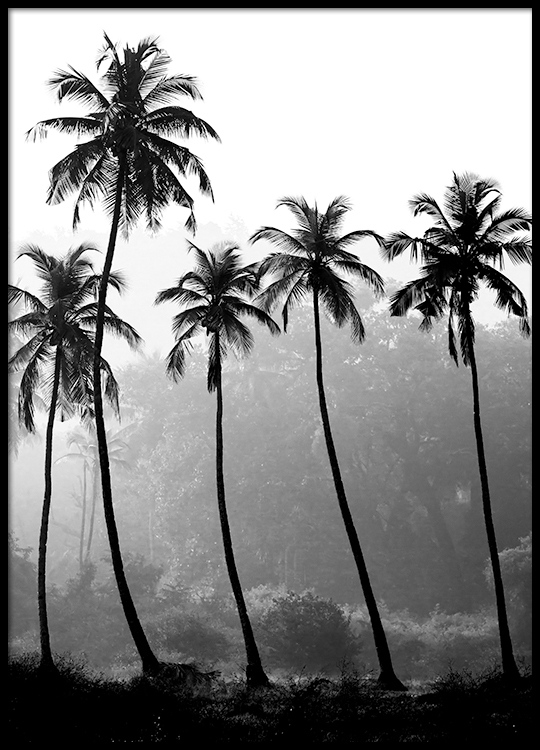 palm trees poster