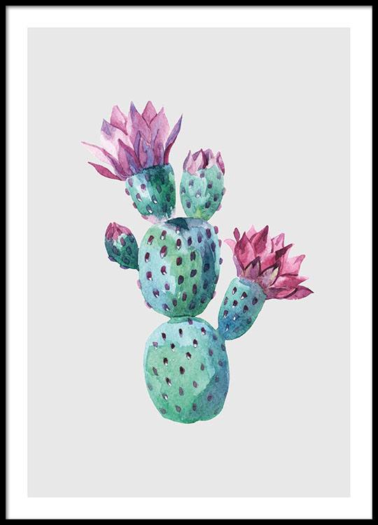 Flower Cactus, Poster