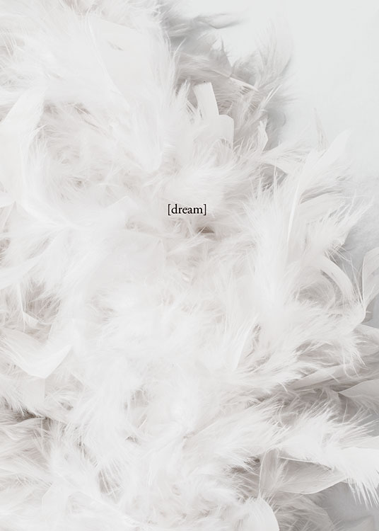 – Photograph of a bunch of white feathers with the word 