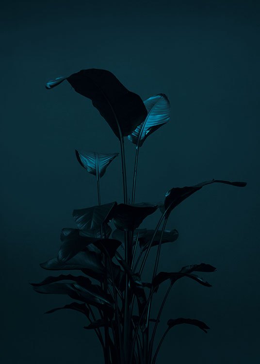 Black Plant, Poster / Photography at Desenio AB (8619)