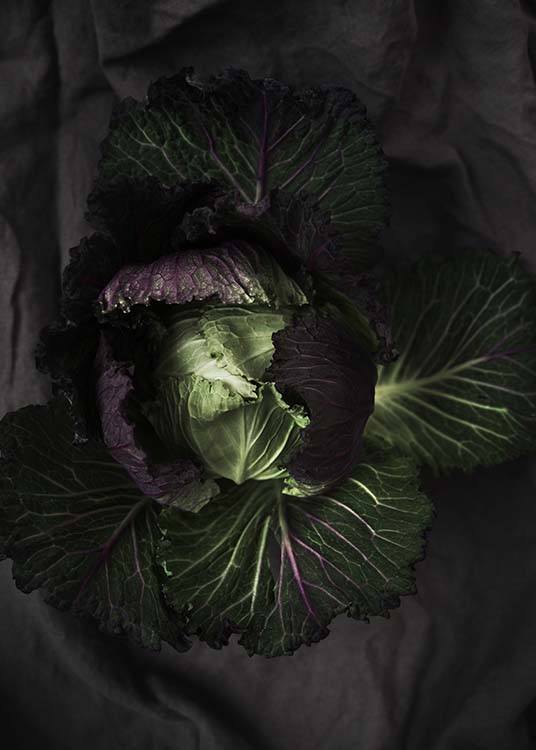 Cabbage Poster / Photography at Desenio AB (8847)