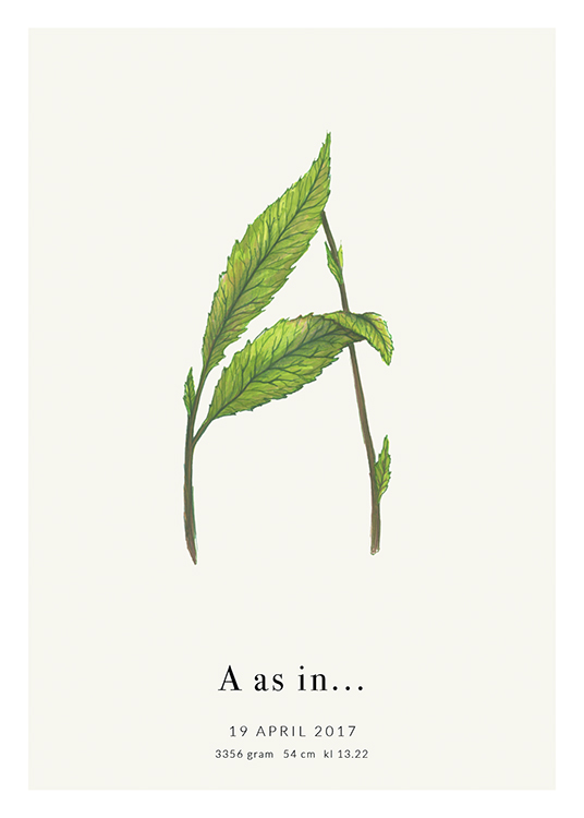  – Plant illustration looking like the letter A, with text at the bottom