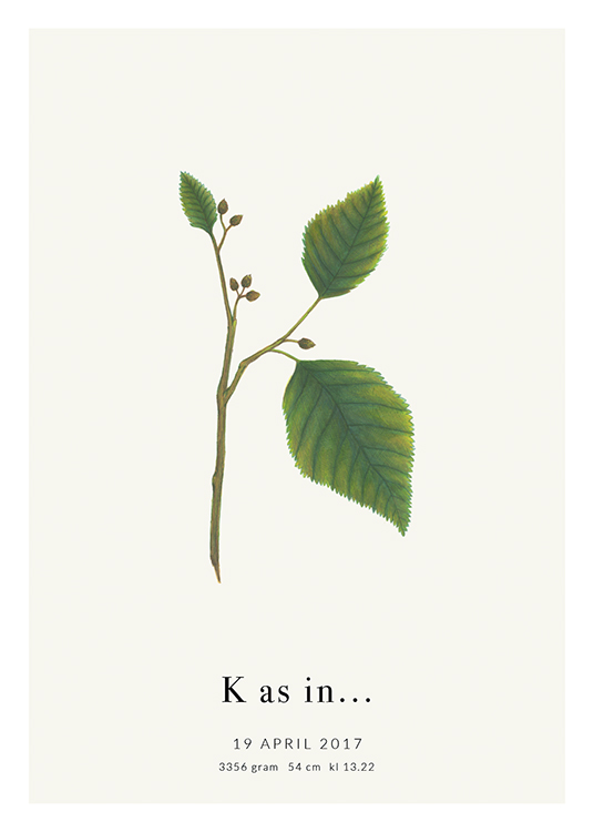 Botanic Letter K Personal Poster