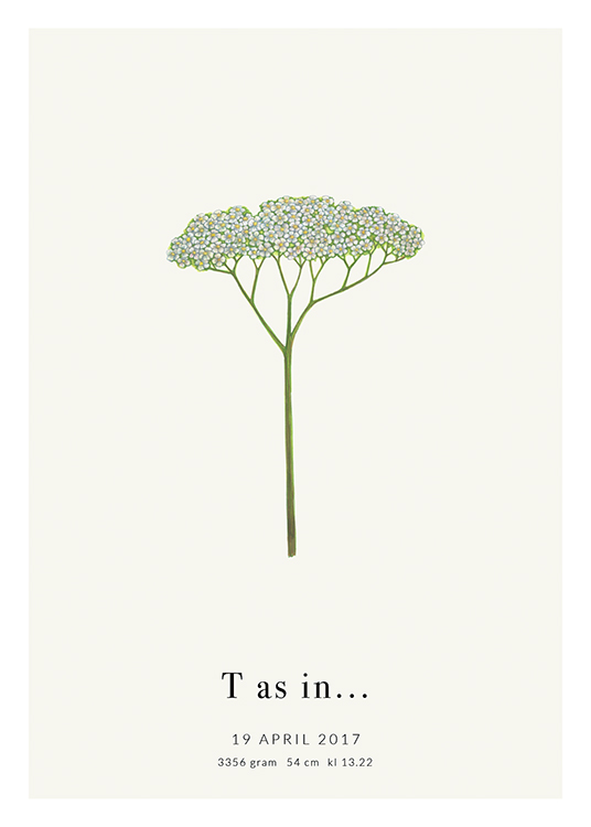 Botanic Letter T Personal Poster