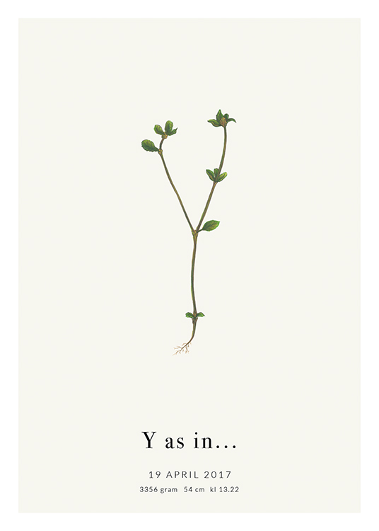  – The letter Y shaped by a plant, with text underneath it