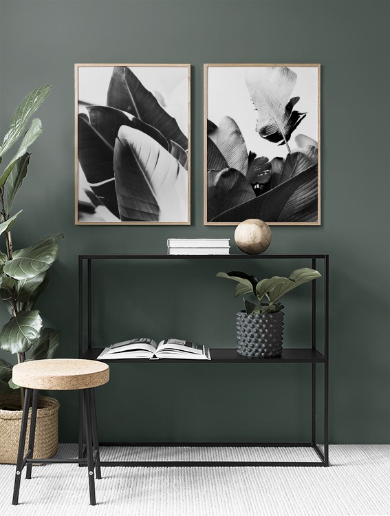 Botanical prints with black-and-white banana leaves