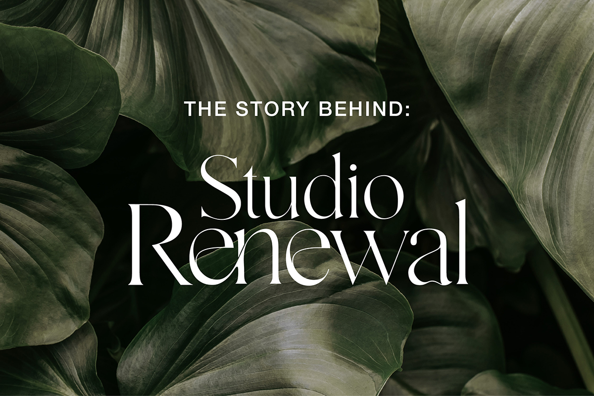 The story behind: Studio Renewal